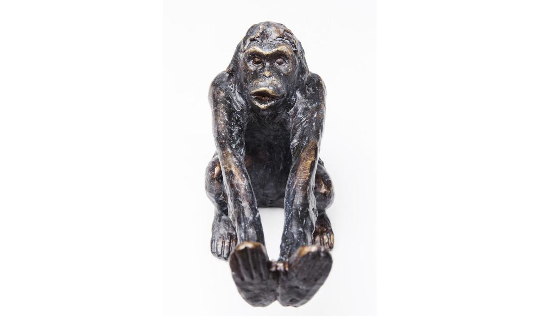 Купити КНИГОТРИМАЧ MONKEY (2/SET) 200x100x170 ЧОРНИЙ KARE